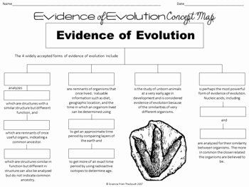 Evidence Of Evolution Worksheet Answers