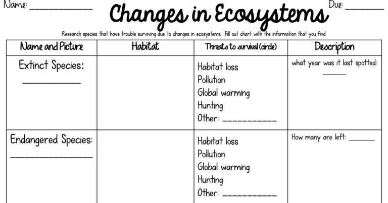 Ecosystem Worksheet Pdf 4th Grade