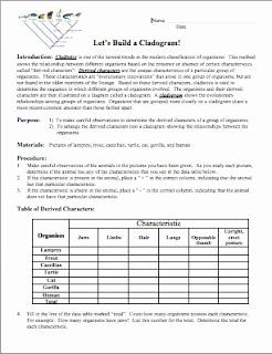 Evolution And Classification Worksheet Answers
