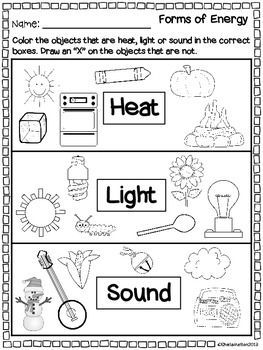 Free Printable First Grade 1st Grade Science Worksheets