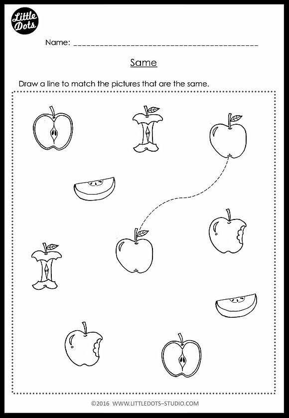 Printable Free Same And Different Worksheets For Preschool