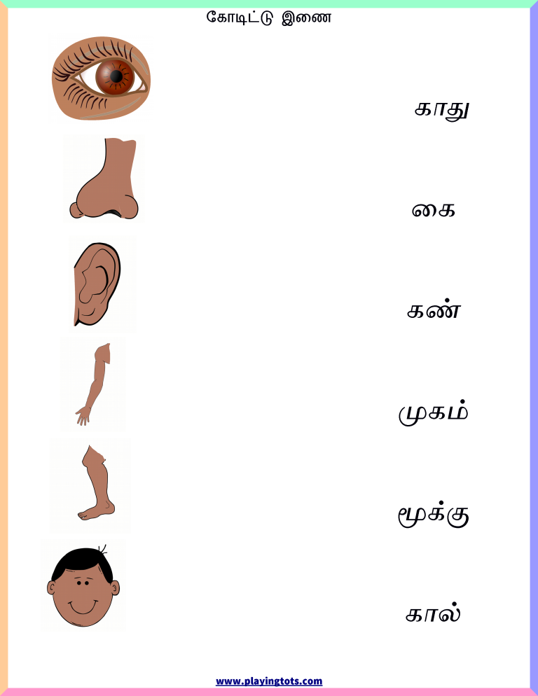 Kindergarten Tamil Worksheets For Kids