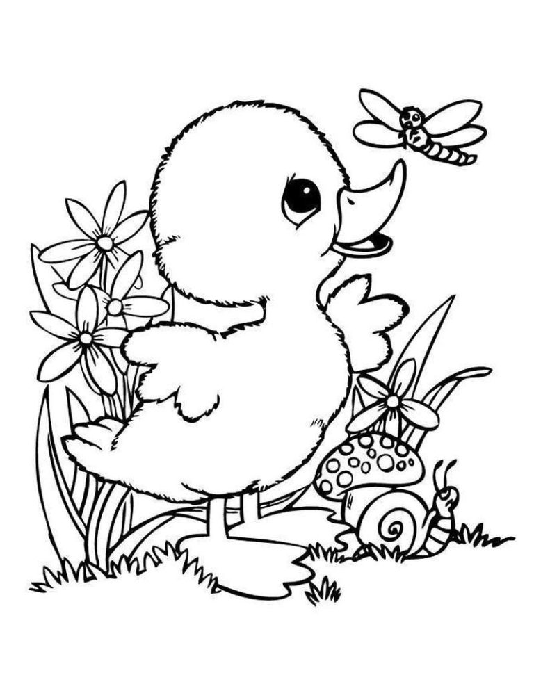 Baby Duck Cute Duck Coloring Pages