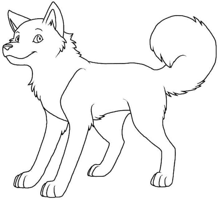 Baby Husky Realistic Husky Coloring Pages