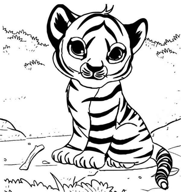 Baby Tiger Coloring Sheet
