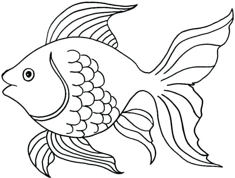 Coloring Cartoon Fish Drawing