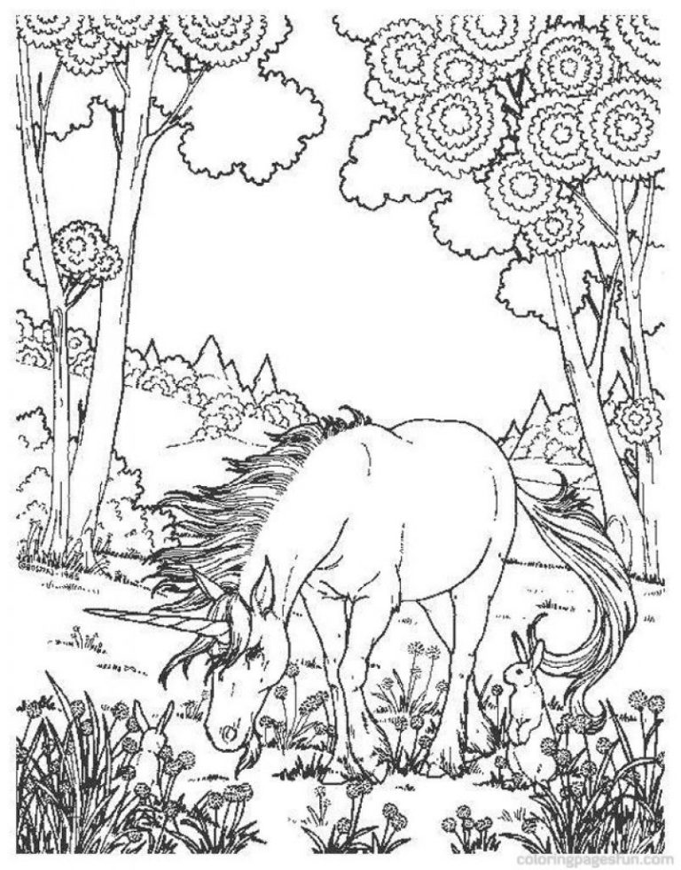 Coloring Pages For Girls Unicorn Hard