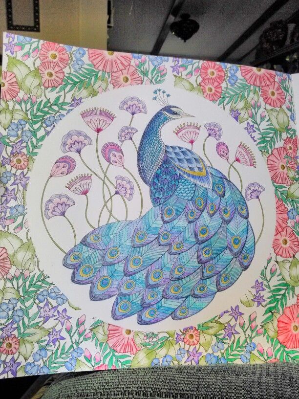 Beautiful Peacock Coloring Pages Finished