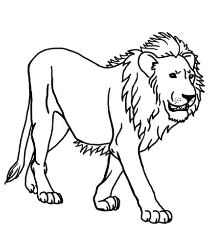 Colouring Lion Images For Kids