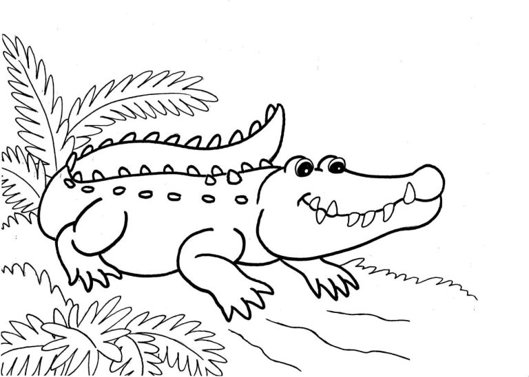Coloring Crocodile Pictures For Kids