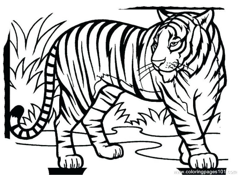 Coloring Sheet Printable Tiger Pictures