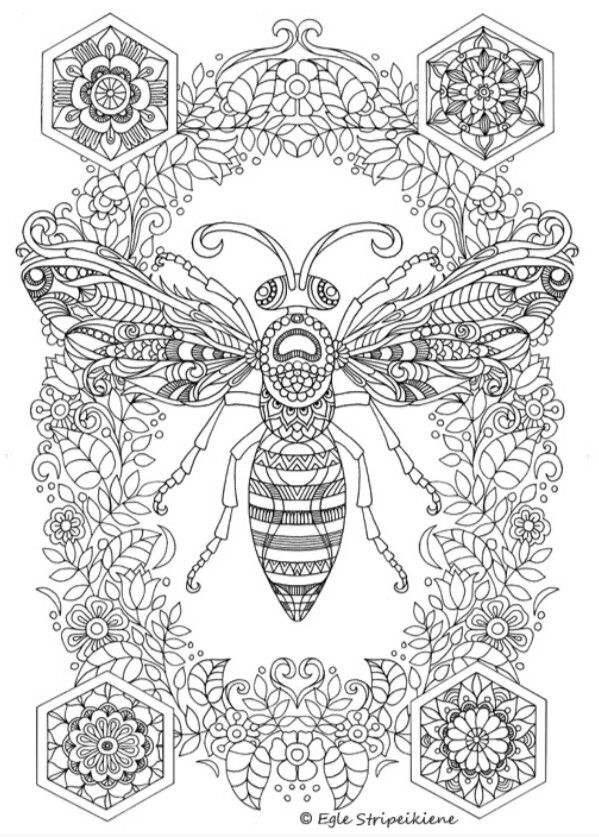 Coloring Sheet Honey Bee Coloring Pages