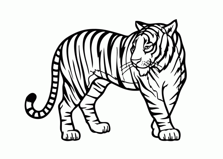 Coloring Page Tiger Pictures To Color