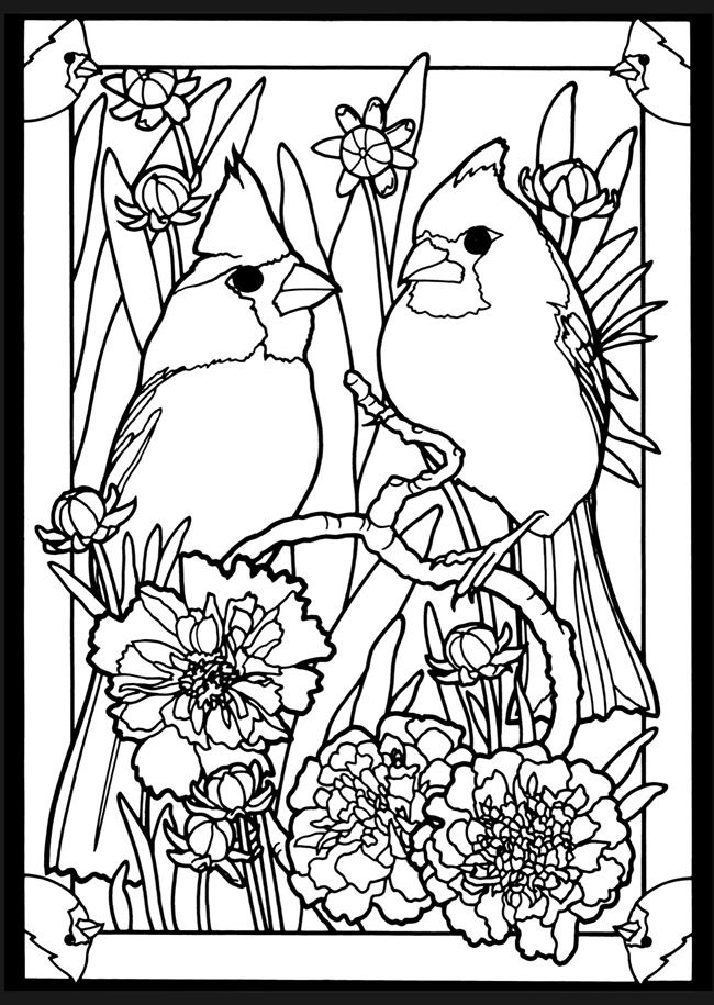 Beautiful Birds Colouring Images