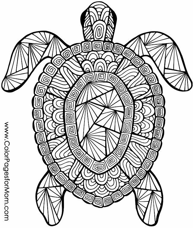 Coloring Page Turtle Pictures To Colour