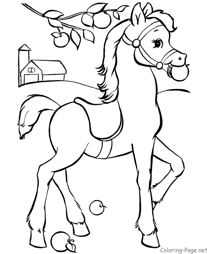 Colouring Horse Pictures For Kids