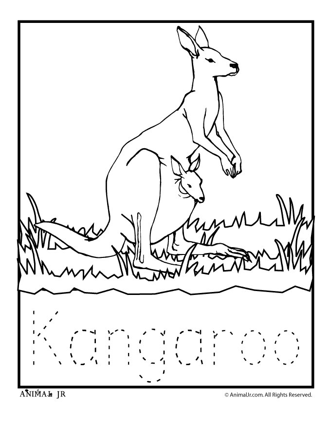 Colouring Pages For Kids+australian Animals