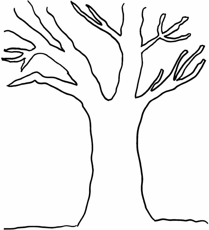 Bare Tree Coloring Picture