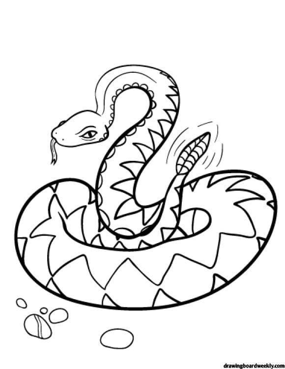 Coloring Sheet Realistic Printable Snake Coloring Pages