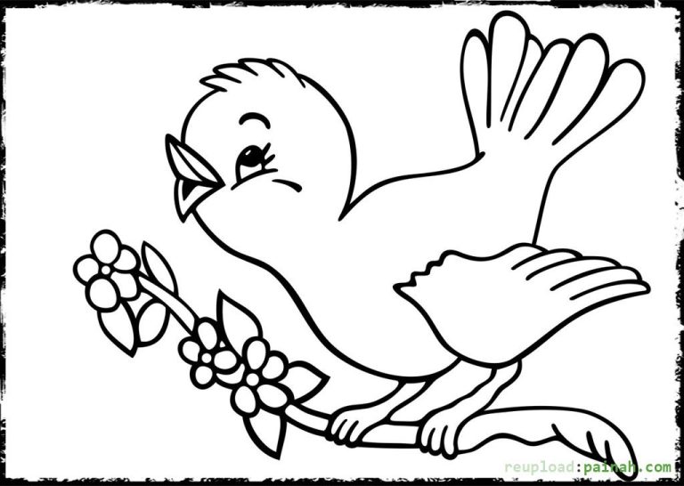Birds Drawing For Colouring For Kids