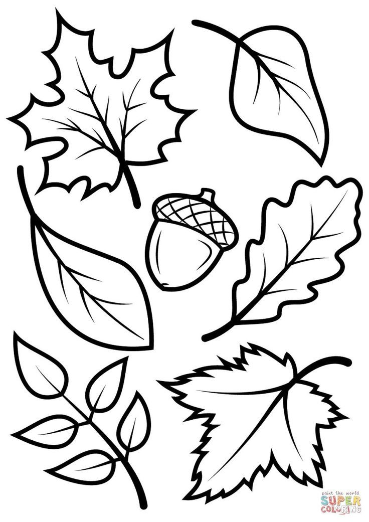Coloring Sheet Free Printable Fall Coloring Pages For Kids
