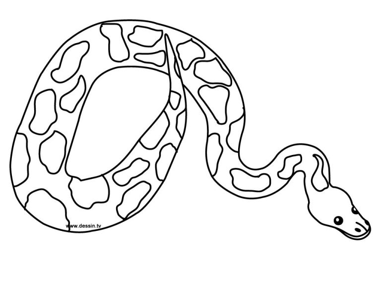 Coloring Sheet Snake Colouring Page