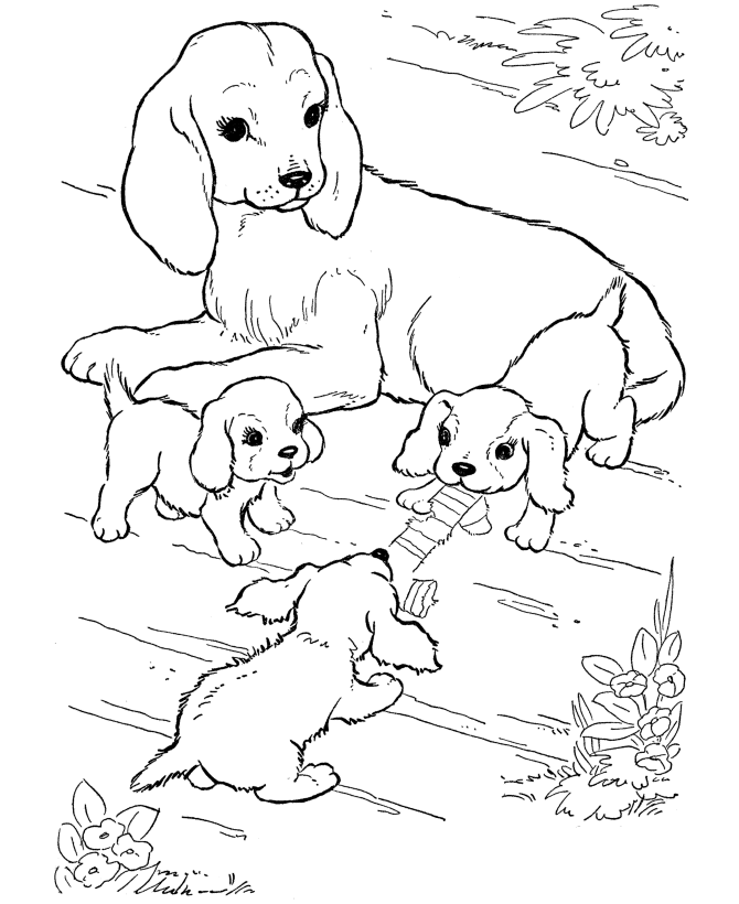 Coloring Page Dog Colouring In Picture
