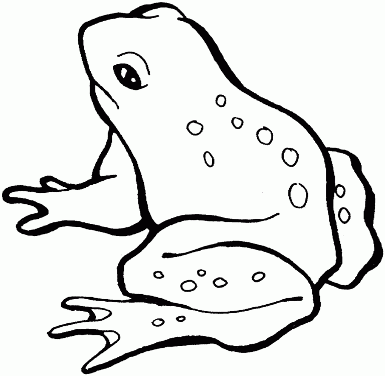 Coloring Sheet Frog Colouring Pages