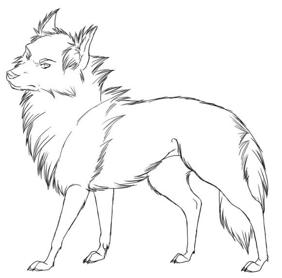 Baby Cute Wolf Pictures To Color