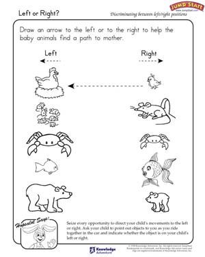 Critical Thinking Cognitive Worksheets For Kindergarten