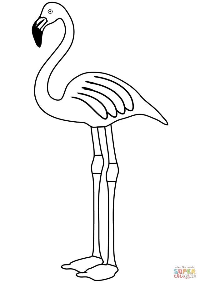Free Printable Flamingo Coloring Pages