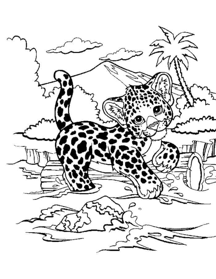 Cute Baby Cheetah Coloring Pages