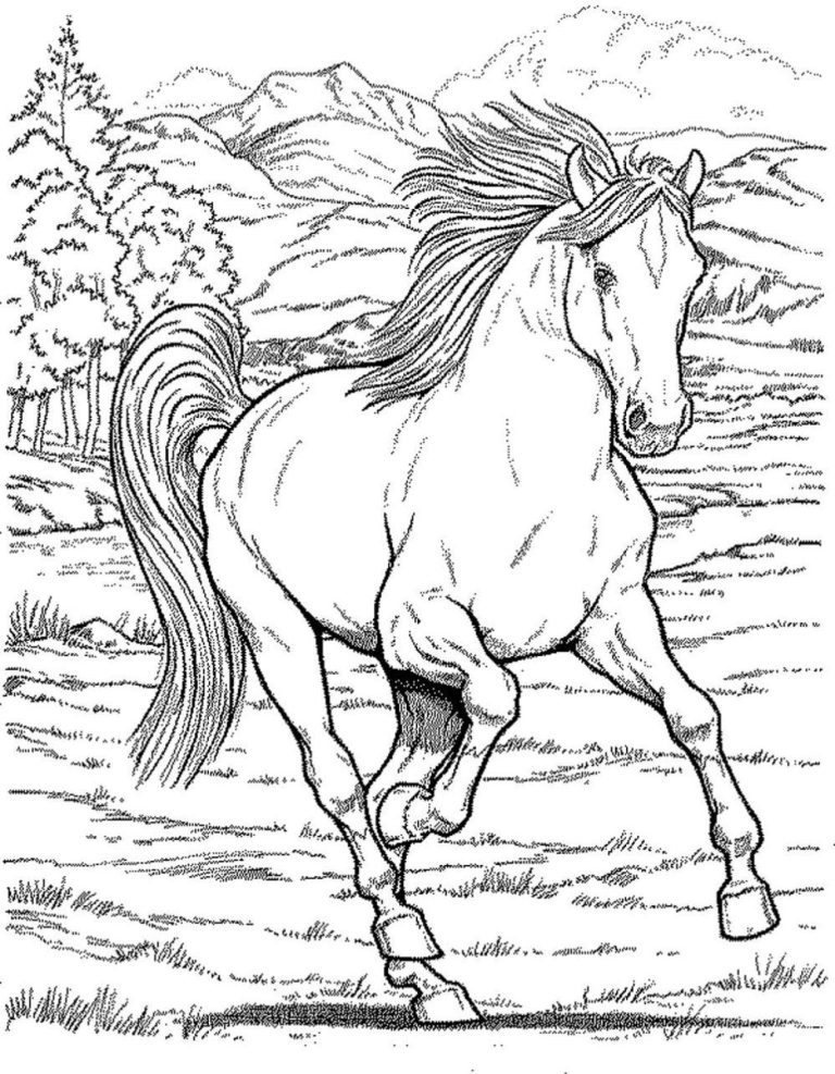 Realistic Horse Coloring Pages For Kids
