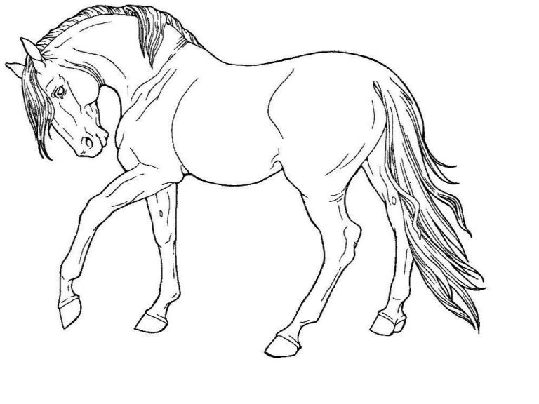 Wild Horse Horse Coloring Pages For Kids