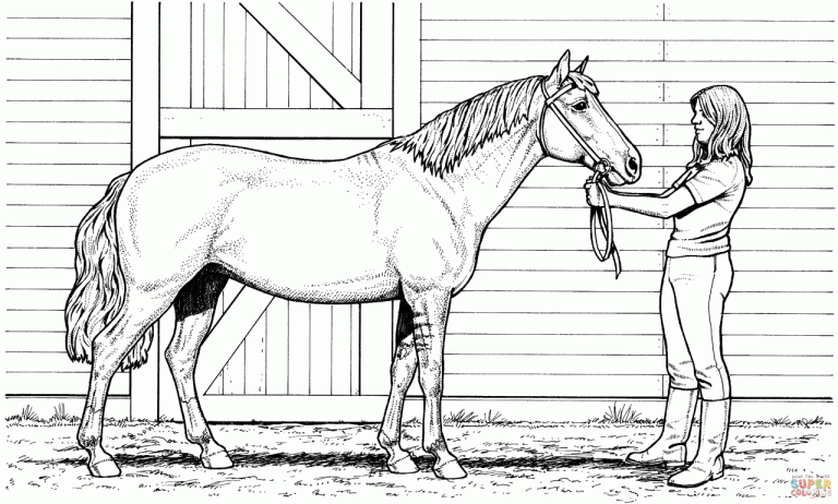 Realistic Horse Coloring Pages Printable