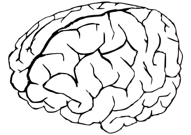 Brain Coloring Page