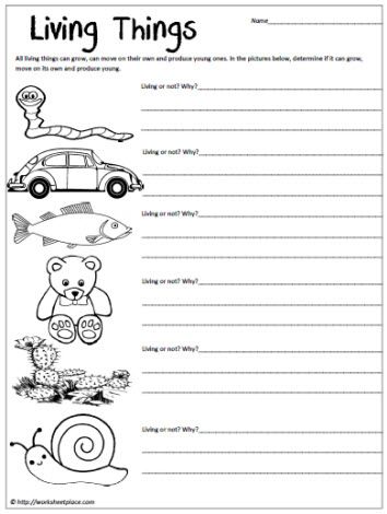 Live Worksheets For Grade 1 Evs