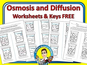 Osmosis Worksheet