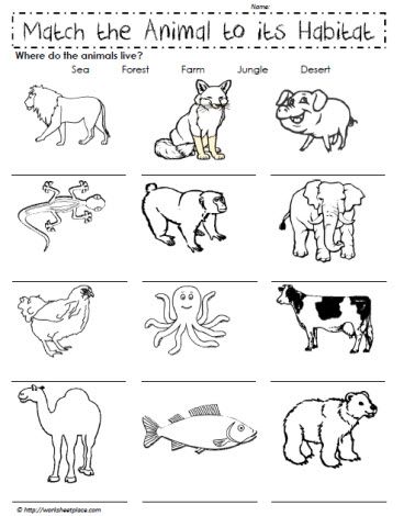 Animal Live Worksheets For Grade 1