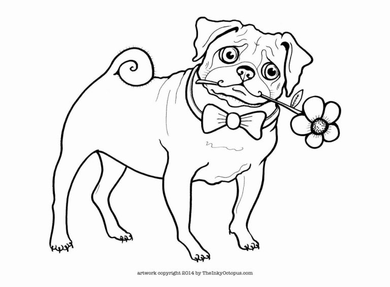 Pug Coloring Pages