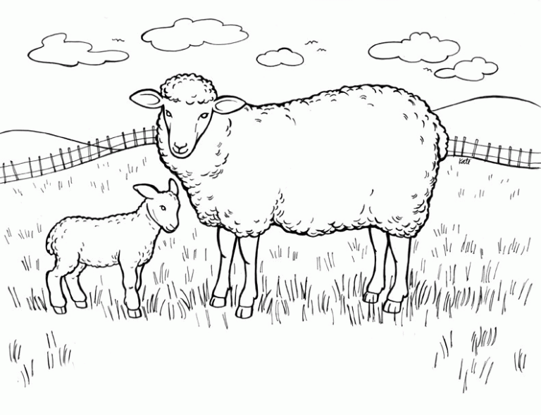 Sheep Coloring