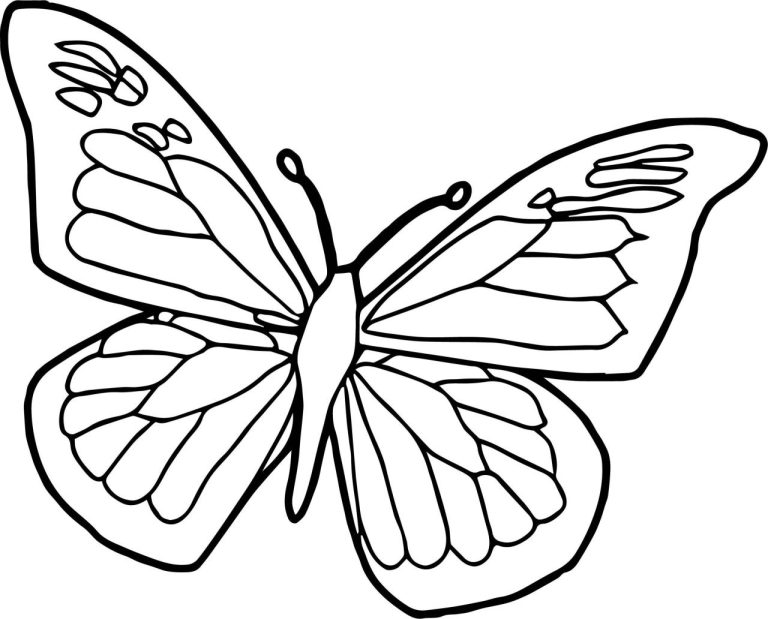 Butterfly Coloring