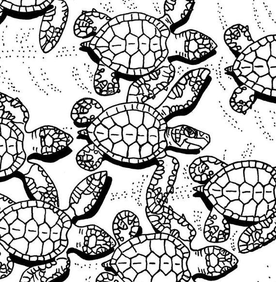 Sea Turtle Coloring Page