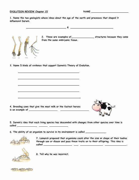 Evolution Worksheet