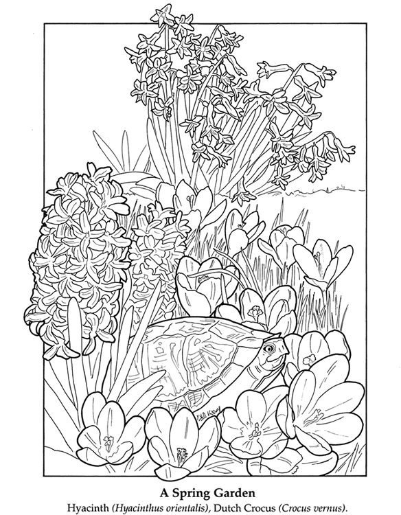 Flower Garden Coloring Pages