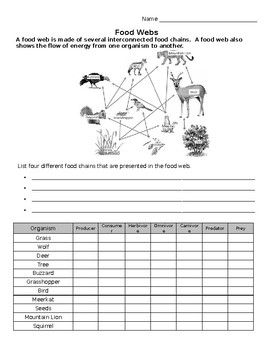 Food Webs And Food Chains Worksheet