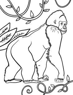 Gorilla Coloring Pages