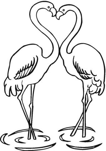 Flamingo Coloring Pages