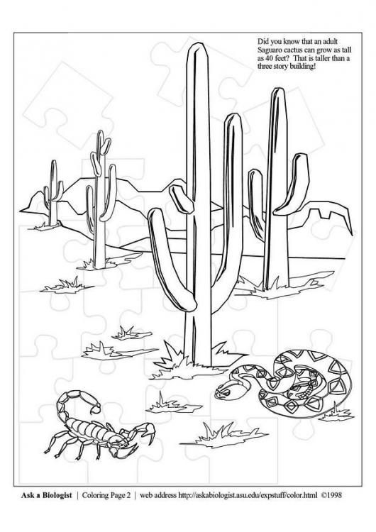 Desert Coloring Pages