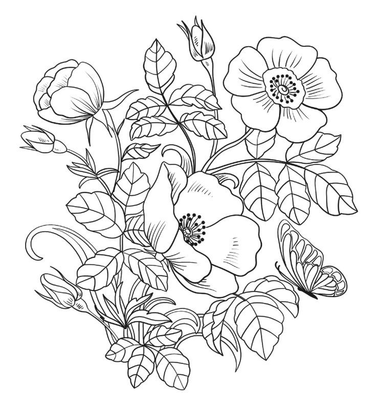 Spring Coloring Sheets